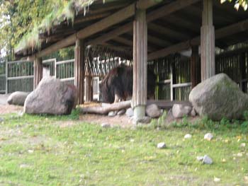 DSCN0887