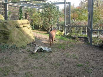 DSCN0900