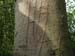 DSCN0869