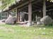 DSCN0887