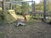 DSCN0900